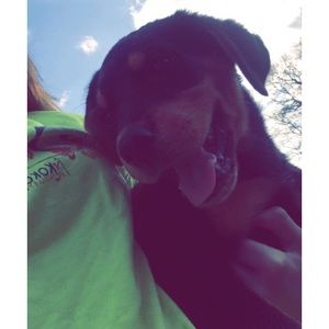 Meet your Posher, Hannah